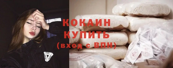дживик Арсеньев