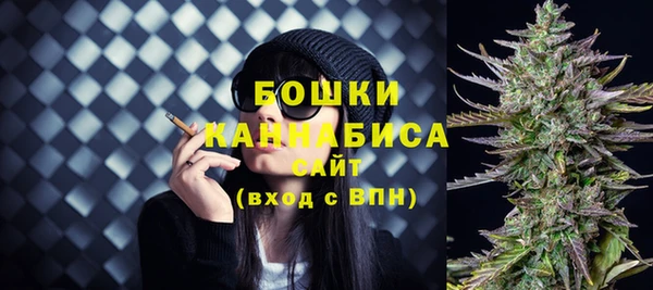 дживик Арсеньев