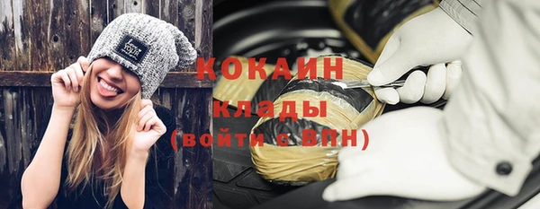 дживик Арсеньев